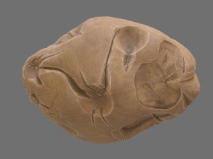 asteroid Modelo 3D