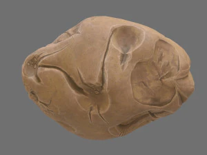 asteroid 3D Model