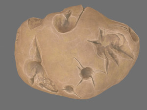 asteroid Modelo 3D