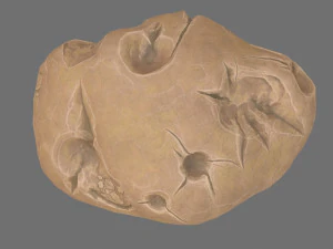 asteroid 3D Model