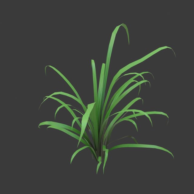 cartoon grass 3D Model .c4d .max .obj .3ds .fbx .stl .blend 
