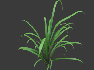 cartoon grass 3D Model