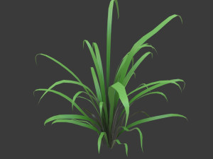 cartoon grass 3D Model