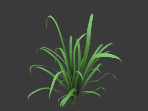 cartoon grass 3D Model