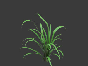 cartoon grass 3D Model