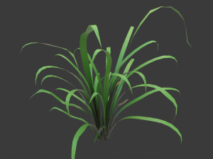 cartoon grass 3D Model