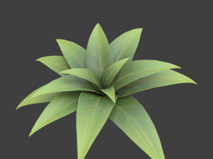 cartoon bush 3D Model