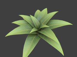 cartoon bush 3D-Modell