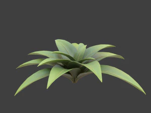 cartoon bush 3D Model