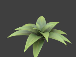 cartoon bush 3D-Modell