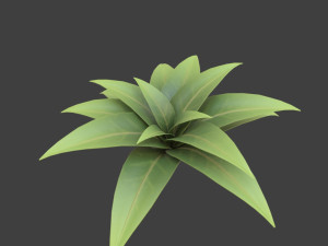 cartoon bush 3D-Modell