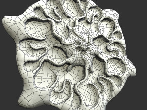 shield 3D Модель