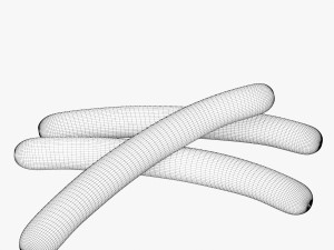 sausage Model 3D