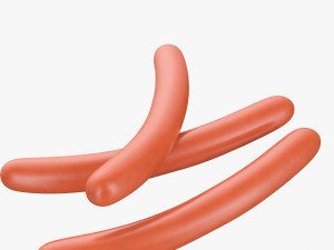 sausage Model 3D