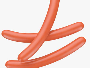 sausage Model 3D