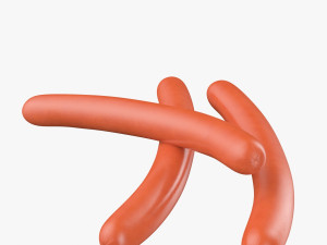 sausage Model 3D