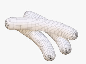 sausage Modèle 3D