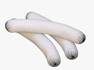 sausage Modèle 3D