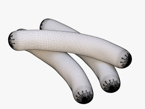 sausage Modèle 3D