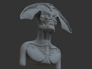 nlo bust 3D Model