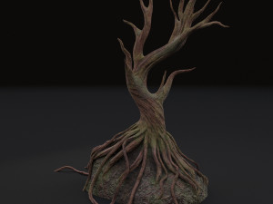 old tree 3D Model
