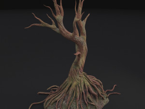 old tree 3D Model