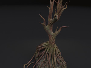 old tree 3D Model