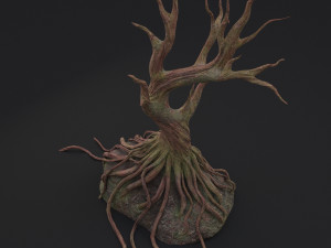 old tree 3D Model