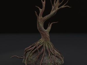old tree 3D Model