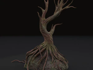 old tree 3D Model