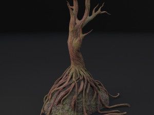 old tree 3D Model