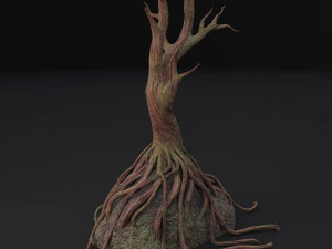old tree 3D Model