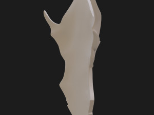 fantasy shield Model 3D