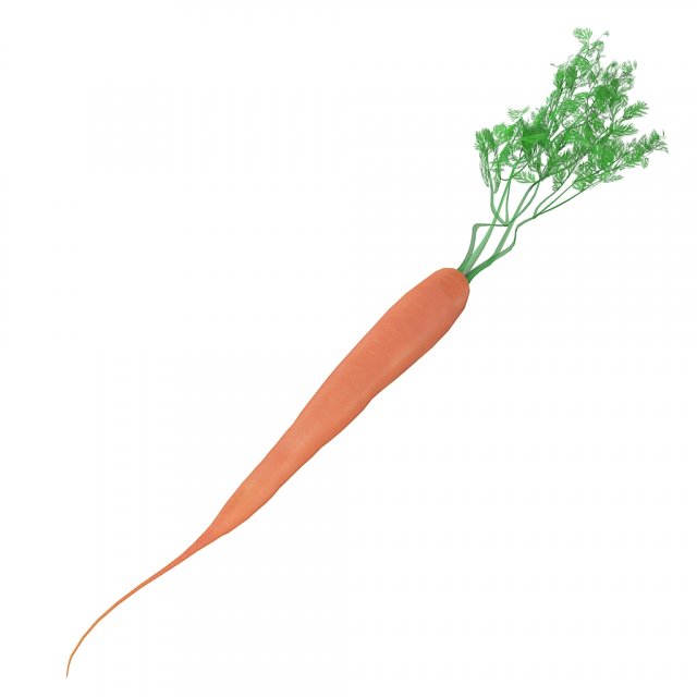carrot 3D Модель .c4d .max .obj .3ds .fbx .stl .blend 