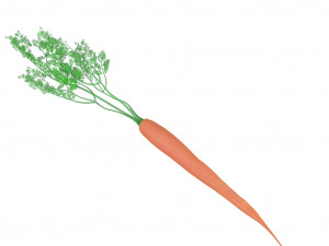 carrot 3D Модель