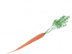 carrot 3D Модель