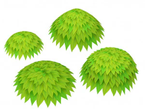 leaf cartoon 3D Model