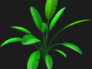 cartoon bush 3D Model