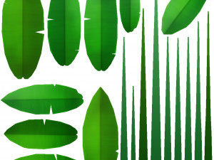 cartoon bush 3D Model