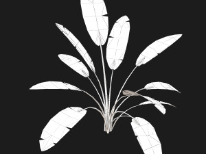 cartoon bush 3D Model