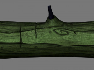 stylized log 3D Model