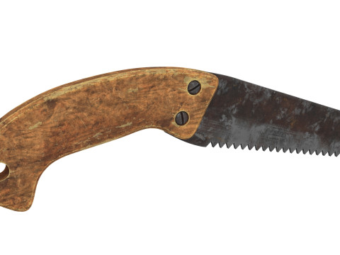 Old saw 3D Model