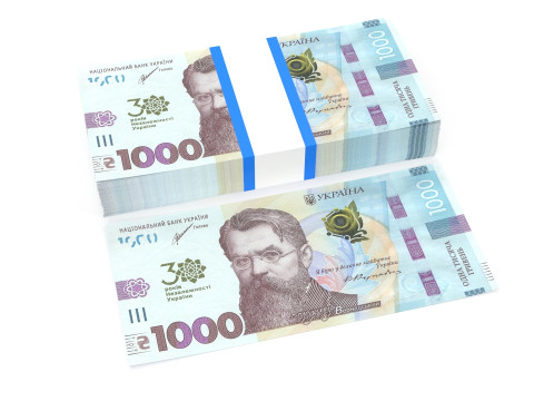 Ukrainian hryvnia1000 3D मॉडल