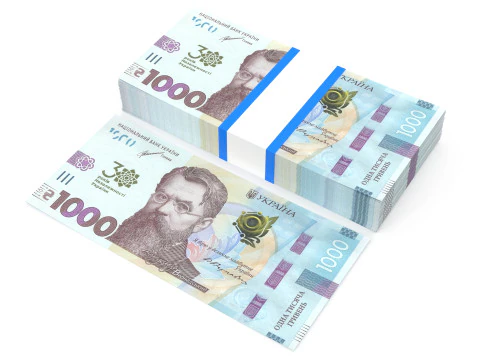 Ukrainian hryvnia1000 3D Model