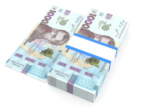 Ukrainian hryvnia1000 3D Model