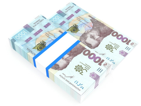 Ukrainian hryvnia1000 Modèle 3D