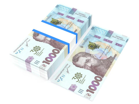 Ukrainian hryvnia1000 3D Model