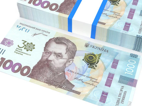 Ukrainian hryvnia1000 3D Model