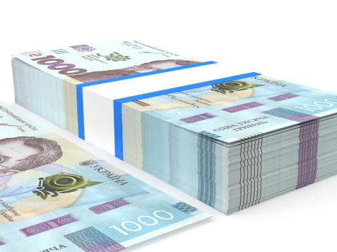 Ukrainian hryvnia1000 3D Model