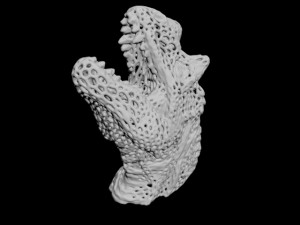 dragon head voronoy Model Cetak 3D